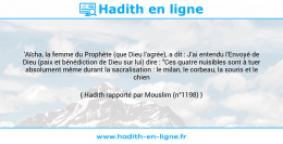 Une image avec le hadith : 'Aïcha, la femme du Prophète (que Dieu l'agrée), a dit : J'ai entendu l'Envoyé de Dieu (paix et bénédiction de Dieu sur lui) dire : "Ces quatre nuisibles sont à tuer absolument même durant la sacralisation : le milan, le corbeau, la souris et le chien enragé". Hadith rapporté par Mouslim (n°1198)