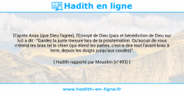 Une image avec le hadith : D'après Anas (que Dieu l'agrée), l'Envoyé de Dieu (paix et bénédiction de Dieu sur lui) a dit : "Gardez la juste mesure lors de la prosternation. Qu'aucun de vous n'étend les bras tel le chien (qui étend les pattes, c'est-à-dire tout l'avant-bras à terre, depuis les doigts jusqu'aux coudes)". Hadith rapporté par Mouslim (n°493)