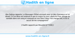 Une image avec le hadith : Abu Qabisa rapporte: Le Messager d'Allah envoyait avec lui des chameaux en lui disant: Si l'un deux est exténué et que tu crains sa mort, abats-le! Puis, plonge sa sandale dans son sang et marques-en son flanc! Mais n'en mange rien, ni toi ni aucun de tes compagnons!" Hadith rapporté par Mouslim (n°1326)