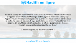 Une image avec le hadith : Sa'îd ben Jubayr dit: Je m'adressai à ibn 'Abbâs et il me dit: «'Ubay ben Ka'b nous a rapporté avoir entendu le Messager de Dieu (ç) dire: "Moïse dit à son page: Apporte-nous notre déjeuner! Voyez cela. Quand nous nous sommes abrités sous la roche, j'ai oublié le poisson. Il n'y a que Satan pour m'avoir fait oublier de m'en rappeler. En fait, Moïse n'avait éprouvé de la fatigue qu'après avoir dépassé l'endroit auparavant désigné pour lui par Dieu."» Hadith rapporté par Boukhari (n°3278)