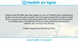 Une image avec le hadith : D'après Anas Ibn Mâlik (que Dieu l'agrée), un jour, le Prophète (paix et bénédiction de Dieu sur lui) entra dans un jardin, suivi d'un garçon emportant un bassin rempli d'eau. Le garçon qui était le plus jeune parmi nous, mit le basin près d'un jujubier; le Prophète (paix et bénédiction de Dieu sur lui) satisfit alors ses besoins naturels; puis s'essuya avec de l'eau Hadith rapporté par Mouslim (n°270)