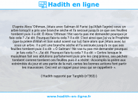 Une image avec le hadith : D'après Abou 'Othman, j'étais avec Salman Al Farisi (qu'Allah l'agrée) sous un arbre lorsqu'il a pris une branche sèche et l'a secoué jusqu'à ce que ses feuilles tombent puis il a dit: Ô Abou 'Othman ! Ne vas-tu pas me demander pourquoi je fais cela ? J'ai dit: Pourquoi fais-tu cela ? Il a dit: C'est ainsi que j'ai vu le Prophète (que la prière d'Allah et Son salut soient sur lui) faire alors que j'étais avec lui sous un arbre. Il a prit une branche sèche et l'a secouée jusqu'à ce que ses feuilles tombent puis il a dit: « Ô Salman ! Ne vas-tu pas me demander pourquoi je fais cela ? ». J'ai dit: Pourquoi fais-tu cela ? Il a dit: « Certes lorsque le musulman fait ses ablutions parfaitement puis prie les cinq prières, ses péchés tombent comme tombent ces feuilles puis il a récité: -Accomplis la prière aux extrémités du jour et une partie de la nuit, certes les bonnes actions font partir les mauvaises. Ceci est un rappel pour ceux qui se rappellent- ». Hadith rapporté par Targhib (n°363)