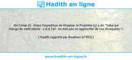 Une image avec le hadith : Ibn 'Umar (r): «Dans l'expédition de Khaybar, le Prophète (ç) a dit: "Celui qui mange de cette plante - c-à-d, l'ail - ne doit pas se rapprocher de nos mosquées."» Hadith rapporté par Boukhari (n°853)