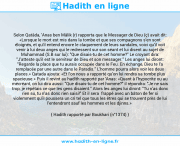 Une image avec le hadith : Selon Qatâda, 'Anas ben Mâlik (r) rapporta que le Messager de Dieu (ç) avait dit: «Lorsque le mort est mis dans la tombe et que ses compagnons s'en sont éloignés, et qu'il entend encore le claquement de leurs sandales, voici qu'il voit venir à lui deux anges qui le redressent sur son séant et lui disent au sujet de Muhammad (S.B sur lui): "Que disais-tu de cet homme?" Le croyant dira: "J'atteste qu'il est le serviteur de Dieu et son messager." Les anges lui diront: "Regarde la place que tu aurais occupée dans le Feu. En échange, Dieu te l'a remplacée par une autre dans le Paradis." L'homme pourra alors voir les deux places.» Qatada ajouta: «Et l'on nous a rapporté qu'on lui rendra sa tombe plus spacieuse.» Puis il revint au hadîth rapporté par 'Anas: «Quant à l'hypocrite ou au mécréant, on lui dira aussi: "Que disais-tu de cet homme?" il répondra: "Je ne sais trop, je répétais ce que les gens disaient." Alors les anges lui diront: "Tu n'as donc rien su, tu n'as donc rien saisi!" Et il sera frappé avec un bâton de fer si violemment qu'il poussera un cri tel que tous les êtres qui se trouvent près de lui l'entendront sauf les hommes et les djinns.» Hadith rapporté par Boukhari (n°1374)