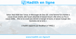 Une image avec le hadith : Selon 'Abd Allâh ben 'Umar, le Messager de Dieu dit: «Une femme fut châtiée à cause d'une chatte; elle l'avait attachée et laissé mourir; elle entra au Feu à cause d'elle... Elle ne lui avait pas donné à manger et boire, ni laissé manger des bestioles de la terre.» Hadith rapporté par Boukhari (n°3482)