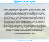 Une image avec le hadith : D'après 'Abd Allâh ben Abu Qatâda as-Salamy, son père (r) dit: «Un jour, j'étais assis avec des Compagnons du Prophète à un campement installé sur le chemin de la Mecque. Le campement du Messager de Dieu (ç) était en avant. Tout le monde était en état de sacralisation, sauf moi. Tandis que j'étais en train de réparer mes chaussures, ils aperçurent un âne sauvage mais ils ne dirent rien. Toutefois, ils voulaient que je l'aperçûs de moi-même. En effet, je me retournai et je le vis. Aussitôt je me levai, je sellai et enfourchai mon cheval en oubliant la cravache et la lance. Alors, je dis aux présents: "Donnez-moi la cravache et la lance! - Non, me dirent-ils, par Dieu, nous ne t'aiderons en rien pour le chasser!" Pris de colère, je descendis et ramassai la cravache et la lance. Après quoi, je remontai et j'attaquai l'âne que je pus atteindre. D'ailleurs, je le rapportai mort. Après s'être mis à manger de sa chair, les Compagnons eurent des doutes sur le fait s'il est licite ou non d'en manger en état de sacralisation. Nous continuâmes ensuite notre chemin et moi de cacher une épaule de l'âne avec moi. Quand nous avions joint le Messager de Dieu (ç), nous l'interrogeâmes sur la chose. "Avez- vous encore un morceau de cet âne? - Oui, répondis-je." Je lui remis alors l'épaule et il la mangea en entier tout en étant en état de sacralisation.» Hadith rapporté par Boukhari (n°2570)