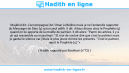 Une image avec le hadith : Mujâhid dit: J'accompagnai ibn 'Umar à Médine mais je ne l'endendis rapporter du Messager de Dieu (ç) qu'un seul adîth. Il dit: «Nous étions chez le Prophète (ç) quand on lui apporta de la moëlle de palmier. Il dit alors: "Parmi les arbres, il y a un qui ressemble au musulman." Et moi de vouloir dire que c'est le palmier mais je gardai le silence car j'étais le plus jeune d'entre les présents. "C'est le palmier, reprit le Prophète (ç)."» Hadith rapporté par Boukhari (n°72)