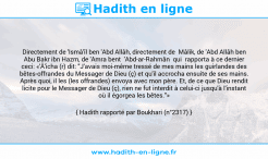 Une image avec le hadith : Directement de 'Ismâ'îl ben 'Abd Allâh, directement de Mâlik, de 'Abd Allâh ben Abu Bakr ibn Hazm, de 'Amra bent 'Abd-ar-Rahmân qui rapporta à ce dernier ceci: «'Â'icha (r) dit: "J'avais moi-même tressé de mes mains les guirlandes des bêtes-offrandes du Messager de Dieu (ç) et qu'il accrocha ensuite de ses mains. Après quoi, il les (les offrandes) envoya avec mon père. Et, de ce que Dieu rendit licite pour le Messager de Dieu (ç), rien ne fut interdit à celui-ci jusqu'à l'instant où il égorgea les bêtes."» Hadith rapporté par Boukhari (n°2317)