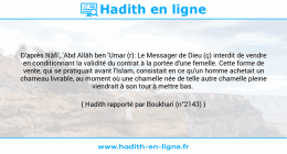Une image avec le hadith : D'après Nâfi', 'Abd Allâh ben 'Umar (r): Le Messager de Dieu (ç) interdit de vendre en conditionnant la validité du contrat à la portée d'une femelle. Cette forme de vente, qui se pratiquait avant l'Islam, consistait en ce qu'un homme achetait un chameau livrable, au moment où une chamelle née de telle autre chamelle pleine viendrait à son tour à mettre bas. Hadith rapporté par Boukhari (n°2143)