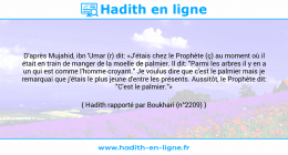 Une image avec le hadith : D'après Mujahid, ibn 'Umar (r) dit: «J'étais chez le Prophète (ç) au moment où il était en train de manger de la moelle de palmier. Il dit: "Parmi les arbres il y en a un qui est comme l'homme croyant." Je voulus dire que c'est le palmier mais je remarquai que j'étais le plus jeune d'entre les présents. Aussitôt, le Prophète dit: "C'est le palmier."» Hadith rapporté par Boukhari (n°2209)