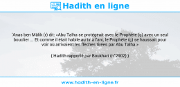 Une image avec le hadith : 'Anas ben Mâlik (r) dit: «Abu Talha se protégeait avec le Prophète (ç) avec un seul bouclier ... Et comme il était habile au tir à l'arc, le Prophète (ç) se haussait pour voir où arrivaient les flèches tirées par Abu Talha.» Hadith rapporté par Boukhari (n°2902)