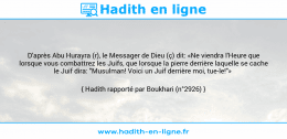 Une image avec le hadith : D'après Abu Hurayra (r), le Messager de Dieu (ç) dit: «Ne viendra l'Heure que lorsque vous combattrez les Juifs, que lorsque la pierre derrière laquelle se cache le Juif dira: "Musulman! Voici un Juif derrière moi, tue-le!"» Hadith rapporté par Boukhari (n°2926)