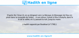 Une image avec le hadith : D'après Ibn 'Umar (r), en se dirigeant vers La Mecque, le Messager de Dieu (ç) priait dans la mosquée de l'arbre... A son retour, il priait à Dhu-l-Hulayfa, dans le lit de la vallée, et il y passait la nuit, jusqu'au matin. Hadith rapporté par Boukhari (n°1799)