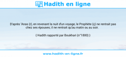 Une image avec le hadith : D'après 'Anas (r), en revenant la nuit d'un voyage, le Prophète (ç) ne rentrait pas chez ses épouses; il ne rentrait qu'au matin ou au soir. Hadith rapporté par Boukhari (n°1800)