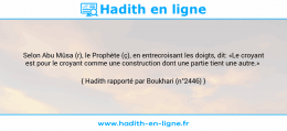 Une image avec le hadith : Selon Abu Mûsa (r), le Prophète (ç), en entrecroisant les doigts, dit: «Le croyant est pour le croyant comme une construction dont une partie tient une autre.» Hadith rapporté par Boukhari (n°2446)