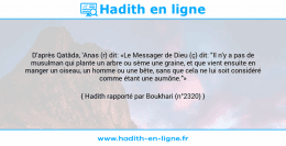Une image avec le hadith : D'après Qatâda, 'Anas (r) dit: «Le Messager de Dieu (ç) dit: "Il n'y a pas de musulman qui plante un arbre ou sème une graine, et que vient ensuite en manger un oiseau, un homme ou une bête, sans que cela ne lui soit considéré comme étant une aumône."» Hadith rapporté par Boukhari (n°2320)