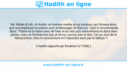 Une image avec le hadith : Ibn 'Abbâs (r) dit: «A Arafat, un homme tomba de sa monture, qui l'écrasa alors qu'il accomplissait la station avec le Messager de Dieu (ç). Celui-ci recommanda alors: "Faites-lui la lotion avec de l'eau et du sidr puis ensevelissez-le dans deux pièces, mais ne l'embaumez pas et ne lui couvrez pas la tête. Car au Jour de la Résurrection, Dieu le ressuscitera et il répondra alors par la telbiya."» Hadith rapporté par Boukhari (n°1266)