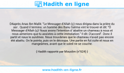 Une image avec le hadith : D4après Anas Ibn Malik: "Le Messager d'Allah (ç) nous dirigea dans la prière du asr . Quand il termina; un homme des Banu Salima vint le trouver et dit: "Ô Messager d'Allah (ç)! Nous avons l'intention d 'abattre un chameau à nous et nous aimerions que tu assistes à cette immolation." Il dit: D'accord". Donc il partit et nous le suivîmes. Nous trouvâmes que le chameau n'avait pas encore été abattu. On le pointa, puis on le découpa. Une partie en fut cuite et nous en mangeâmes, avant que le soleil ne se couche. Hadith rapporté par Mouslim (n°624)