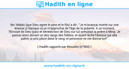 Une image avec le hadith : Ibn 'Abbâs (que Dieu agrée le père et le fils) a dit : "Je m'avançai monté sur une ânesse à l'époque où je m'approchai de l'âge de la puberté. A ce moment, l'Envoyé de Dieu (paix et bénédiction de Dieu sur lui) présidait la prière à Mina. Je passai alors devant un des rangs des fidèles; et ayant lâché l'ânesse qui alla paître, je pris place dans le rang; et personne ne me donna tort". Hadith rapporté par Mouslim (n°504)