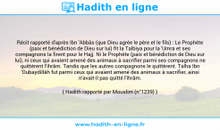 Une image avec le hadith : Récit rapporté d'après Ibn 'Abbâs (que Dieu agrée le père et le fils) : Le Prophète (paix et bénédiction de Dieu sur lui) fit la Talbiya pour la 'Umra et ses compagnons la firent pour le Hajj. Ni le Prophète (paix et bénédiction de Dieu sur lui), ni ceux qui avaient amené des animaux à sacrifier parmi ses compagnons ne quittèrent l'ihrâm. Tandis que les autres compagnons le quittèrent. Talha Ibn 'Oubaydillâh fut parmi ceux qui avaient amené des animaux à sacrifier, ainsi n'avait-il pas quitté l'ihrâm. Hadith rapporté par Mouslim (n°1239)