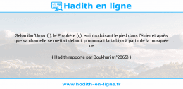 Une image avec le hadith : Selon ibn 'Umar (r), le Prophète (ç), en introduisant le pied dans l'étrier et après que sa chamelle se mettait debout, prononçait la talbiya à partir de la mosquée de dhu-l-Hulayfa. Hadith rapporté par Boukhari (n°2865)