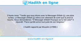Une image avec le hadith : D'Après Anas: "Tandis que nous étions avec le Messager d'Allah (ç), une pluie tomba. Le Messager d'Allah (ç) releva son vêtement de sorte que la pluie le touche. Nous demandâmes: "Ô Messager d'Allah! Pourquoi as-tu fait cela?" Il répondit: "Parce qu'elle arrive tout juste de son Seigneur." Hadith rapporté par Mouslim (n°898)