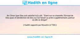 Une image avec le hadith : Ibn 'Omar (que Dieu soit satisfait lui) a dit : "Etant sur sa chamelle, l'Envoyé de Dieu (paix et bénédiction de Dieu sur lui) faisait sa prière supplémentaire, partout où elle se dirigait". Hadith rapporté par Mouslim (n°700)