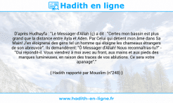 Une image avec le hadith : D'après Hudhayfa : "Le Messager d'Allah (ç) a dit : "Certes mon bassin est plus grand que la distance entre Ayla et Aden. Par Celui qui détient mon âme dans Sa Main! J'en éloignerai des gens tel un homme qui éloigne les chameaux étrangers de son abreuvoir". Ils demandèrent: "Ô Messager d'Allah! Nous reconnaîtras-tu?" - "Oui répondit-il. Vous viendrez à moi avec au front, aux mains et aux pieds des marques lumineuses, en raison des traces de vos ablutions. Ce sera votre apanage"." Hadith rapporté par Mouslim (n°248)