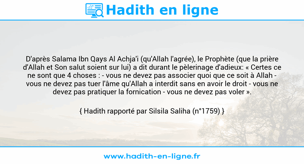 Une image avec le hadith : D'après Salama Ibn Qays Al Achja'i (qu'Allah l'agrée), le Prophète (que la prière d'Allah et Son salut soient sur lui) a dit durant le pèlerinage d'adieux: « Certes ce ne sont que 4 choses : - vous ne devez pas associer quoi que ce soit à Allah - vous ne devez pas tuer l'âme qu'Allah a interdit sans en avoir le droit - vous ne devez pas pratiquer la fornication - vous ne devez pas voler ». Hadith rapporté par Silsila Saliha (n°1759)