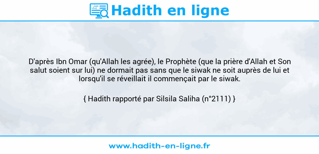 Une image avec le hadith : D'après Ibn Omar (qu'Allah les agrée), le Prophète (que la prière d'Allah et Son salut soient sur lui) ne dormait pas sans que le siwak ne soit auprès de lui et lorsqu'il se réveillait il commençait par le siwak. Hadith rapporté par Silsila Saliha (n°2111)