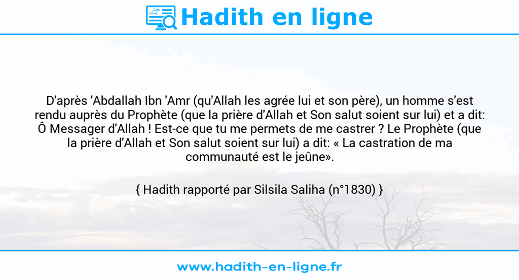 Une image avec le hadith : D'après 'Abdallah Ibn 'Amr (qu'Allah les agrée lui et son père), un homme s'est rendu auprès du Prophète (que la prière d'Allah et Son salut soient sur lui) et a dit: Ô Messager d'Allah ! Est-ce que tu me permets de me castrer ? Le Prophète (que la prière d'Allah et Son salut soient sur lui) a dit: « La castration de ma communauté est le jeûne». Hadith rapporté par Silsila Saliha (n°1830)