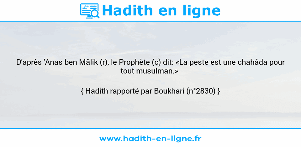Une image avec le hadith : D'après 'Anas ben Mâlik (r), le Prophète (ç) dit: «La peste est une chahâda pour tout musulman.»  Hadith rapporté par Boukhari (n°2830)
