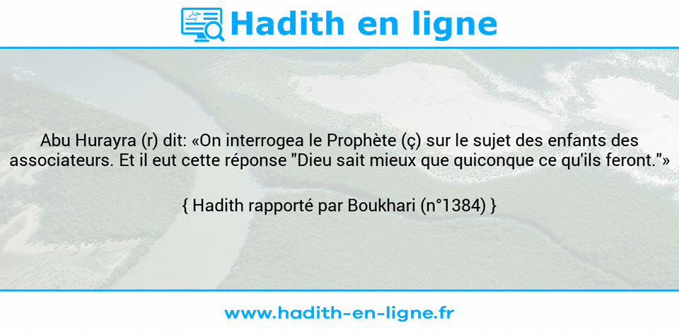 Une image avec le hadith : Abu Hurayra (r) dit: «On interrogea le Prophète (ç) sur le sujet des enfants des associateurs. Et il eut cette réponse "Dieu sait mieux que quiconque ce qu'ils feront."» Hadith rapporté par Boukhari (n°1384)