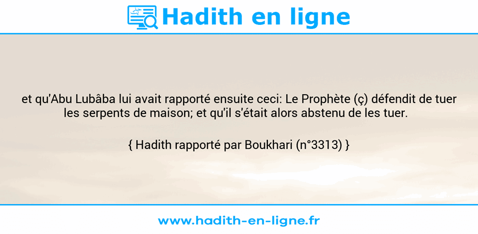 Une image avec le hadith : et qu'Abu Lubâba lui avait rapporté ensuite ceci: Le Prophète (ç) défendit de tuer les serpents de maison; et qu'il s'était alors abstenu de les tuer.   Hadith rapporté par Boukhari (n°3313)