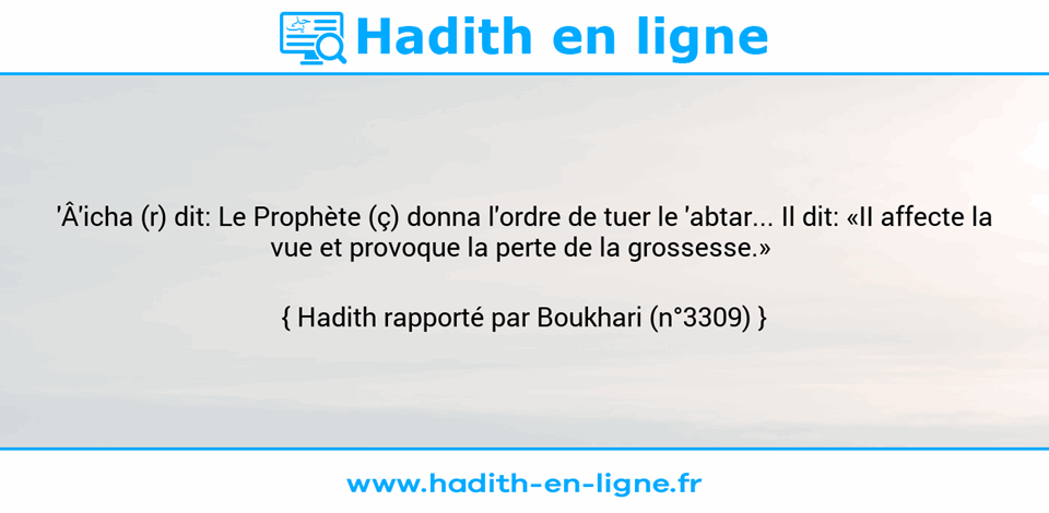 Une image avec le hadith :  'Â'icha (r) dit: Le Prophète (ç) donna l'ordre de tuer le 'abtar... Il dit: «II affecte la vue et provoque la perte de la grossesse.»  Hadith rapporté par Boukhari (n°3309)