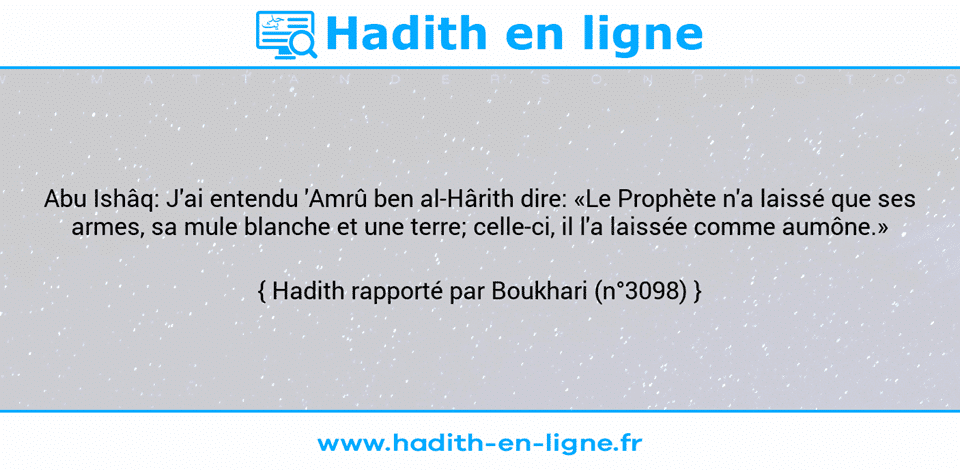 Une image avec le hadith : Abu Ishâq: J'ai entendu 'Amrû ben al-Hârith dire: «Le Prophète n'a laissé que ses armes, sa mule blanche et une terre; celle-ci, il l'a laissée comme aumône.» Hadith rapporté par Boukhari (n°3098)