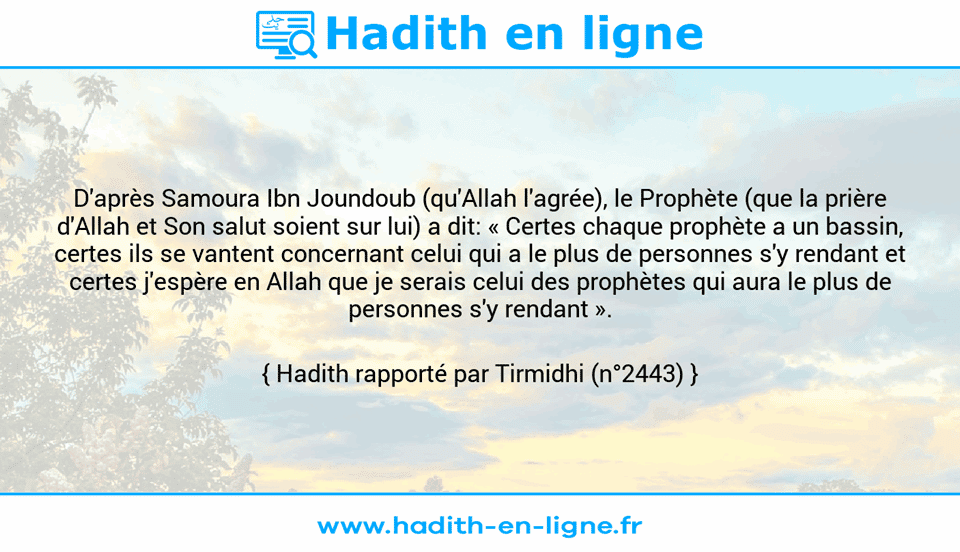 Une image avec le hadith : D'après Samoura Ibn Joundoub (qu'Allah l'agrée), le Prophète (que la prière d'Allah et Son salut soient sur lui) a dit: « Certes chaque prophète a un bassin, certes ils se vantent concernant celui qui a le plus de personnes s'y rendant et certes j'espère en Allah que je serais celui des prophètes qui aura le plus de personnes s'y rendant ». Hadith rapporté par Tirmidhi (n°2443)