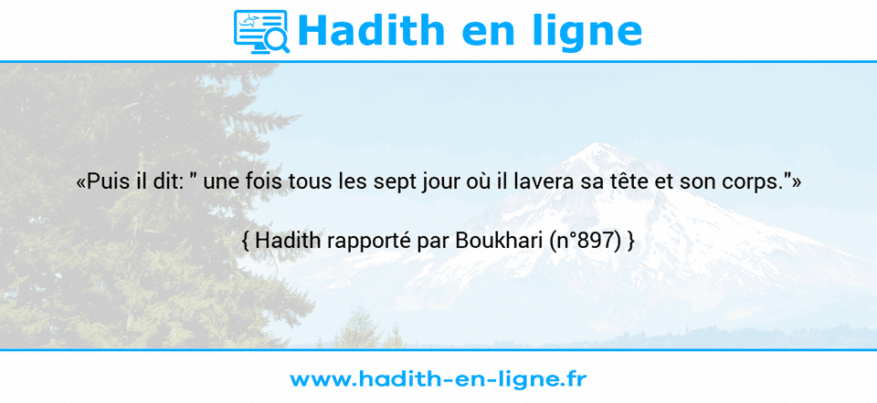 Une image avec le hadith : «Puis il dit: " une fois tous les sept jour où il lavera sa tête et son corps."» Hadith rapporté par Boukhari (n°897)