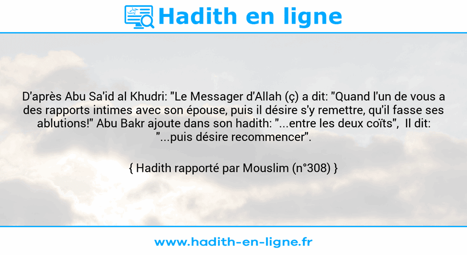 Une image avec le hadith : D'après Abu Sa'id al Khudri: "Le Messager d'Allah (ç) a dit: "Quand l'un de vous a des rapports intimes avec son épouse, puis il désire s'y remettre, qu'il fasse ses ablutions!" Abu Bakr ajoute dans son hadith: "...entre les deux coïts",  Il dit: "...puis désire recommencer". Hadith rapporté par Mouslim (n°308)