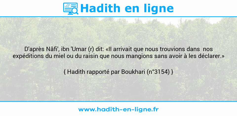 Une image avec le hadith : D'après Nâfi', ibn 'Umar (r) dit: «Il arrivait que nous trouvions dans  nos expéditions du miel ou du raisin que nous mangions sans avoir à les déclarer.» Hadith rapporté par Boukhari (n°3154)