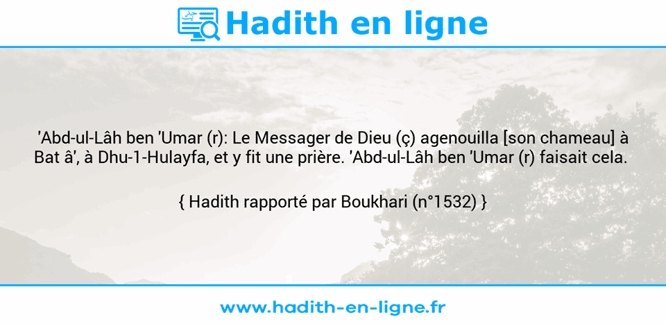 Une image avec le hadith :  'Abd-ul-Lâh ben 'Umar (r): Le Messager de Dieu (ç) agenouilla [son chameau] à Bat â', à Dhu-1-Hulayfa, et y fit une prière. 'Abd-ul-Lâh ben 'Umar (r) faisait cela.  Hadith rapporté par Boukhari (n°1532)