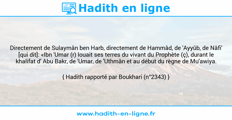 Une image avec le hadith : Directement de Sulaymân ben Harb, directement de Hammâd, de 'Ayyûb, de Nâfi' [qui dit]: «Ibn 'Umar (r) louait ses terres du vivant du Prophète (ç), durant le khalifat d' Abu Bakr, de 'Umar, de 'Uthmân et au début du règne de Mu'awiya. Hadith rapporté par Boukhari (n°2343)