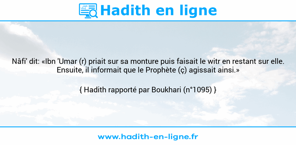 Une image avec le hadith : Nâfi' dit: «Ibn 'Umar (r) priait sur sa monture puis faisait le witr en restant sur elle. Ensuite, il informait que le Prophète (ç) agissait ainsi.» Hadith rapporté par Boukhari (n°1095)