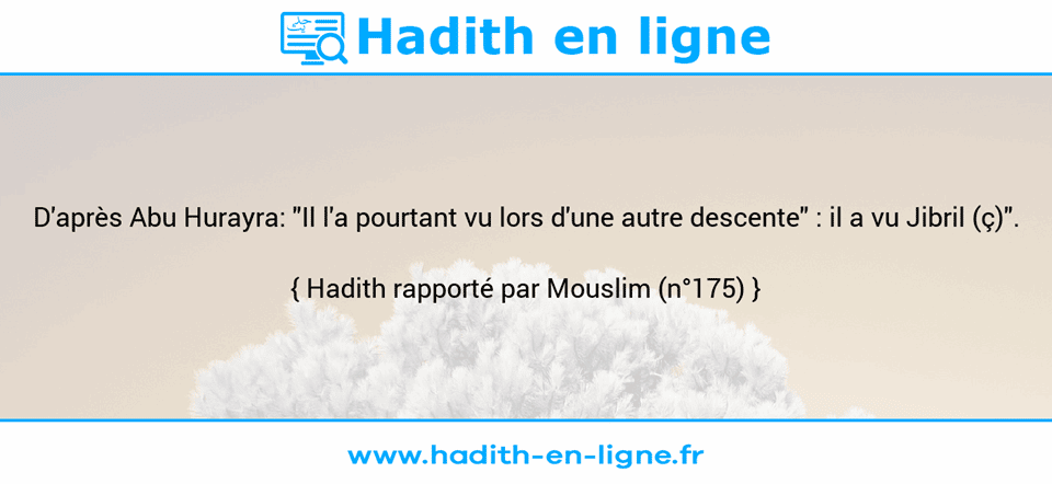 Une image avec le hadith : D'après Abu Hurayra: "Il l'a pourtant vu lors d'une autre descente" : il a vu Jibril (ç)". Hadith rapporté par Mouslim (n°175)
