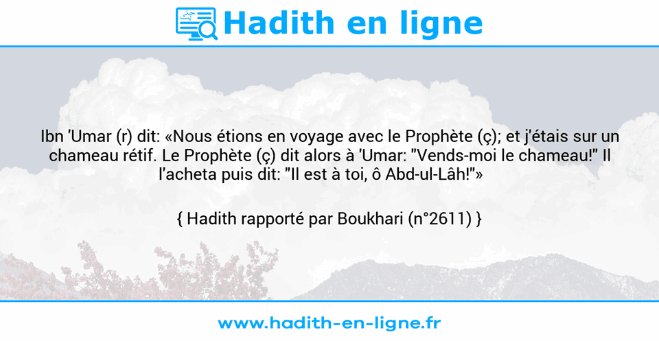 Une image avec le hadith : Ibn 'Umar (r) dit: «Nous étions en voyage avec le Prophète (ç); et j'étais sur un chameau rétif. Le Prophète (ç) dit alors à 'Umar: "Vends-moi le chameau!" Il l'acheta puis dit: "Il est à toi, ô Abd-ul-Lâh!"»     Hadith rapporté par Boukhari (n°2611)