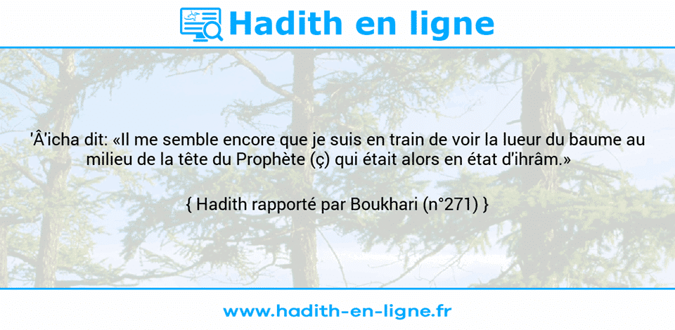 Une image avec le hadith : 'Â'icha dit: «Il me semble encore que je suis en train de voir la lueur du baume au milieu de la tête du Prophète (ç) qui était alors en état d'ihrâm.»     Hadith rapporté par Boukhari (n°271)