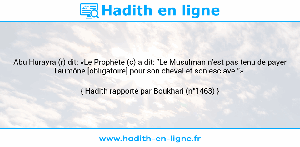Une image avec le hadith : Abu Hurayra (r) dit: «Le Prophète (ç) a dit: "Le Musulman n'est pas tenu de payer l'aumône [obligatoire] pour son cheval et son esclave."»  Hadith rapporté par Boukhari (n°1463)