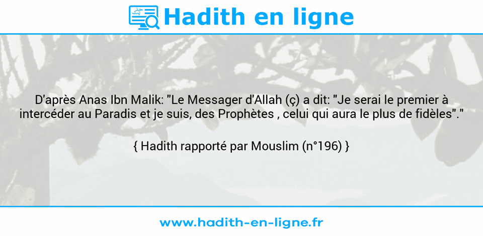 Une image avec le hadith : D'après Anas Ibn Malik: "Le Messager d'Allah (ç) a dit: "Je serai le premier à intercéder au Paradis et je suis, des Prophètes , celui qui aura le plus de fidèles"." Hadith rapporté par Mouslim (n°196)