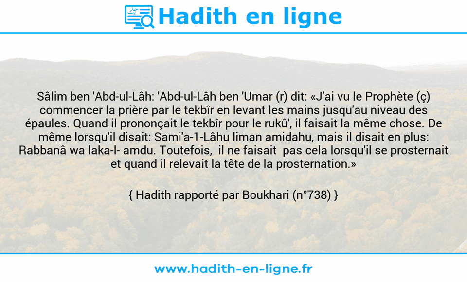 Une image avec le hadith : Sâlim ben 'Abd-ul-Lâh: 'Abd-ul-Lâh ben 'Umar (r) dit: «J'ai vu le Prophète (ç) commencer la prière par le tekbîr en levant les mains jusqu'au niveau des épaules. Quand il prononçait le tekbîr pour le rukû', il faisait la même chose. De même lorsqu'il disait: Sami'a-1-Lâhu liman amidahu, mais il disait en plus: Rabbanâ wa laka-l- amdu. Toutefois,  il ne faisait  pas cela lorsqu'il se prosternait et quand il relevait la tête de la prosternation.» Hadith rapporté par Boukhari (n°738)