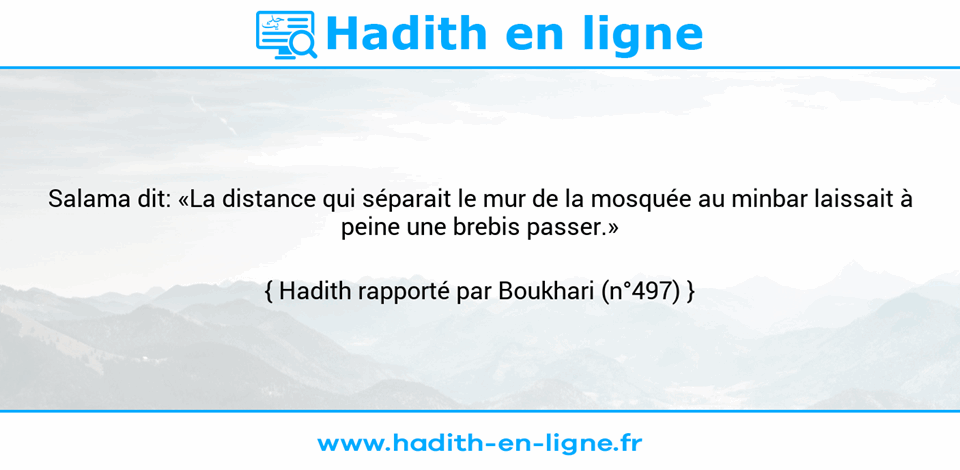 Une image avec le hadith : Salama dit: «La distance qui séparait le mur de la mosquée au minbar laissait à peine une brebis passer.» Hadith rapporté par Boukhari (n°497)
